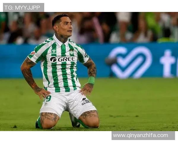 收集50张足球明星贴纸的乐趣与回忆，畅享足球文化的魅力与激情