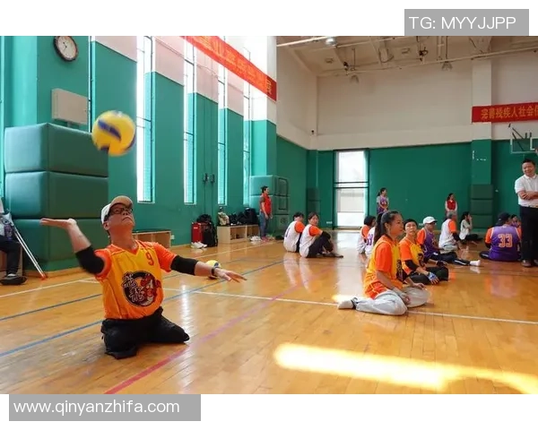 深圳排球队技术实力分析与比赛表现全面点评