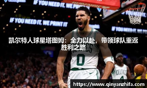 BB贝博登录入口