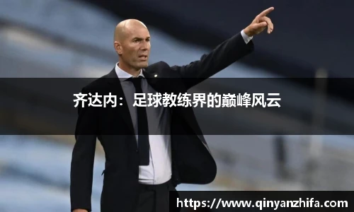 BB贝博登录入口