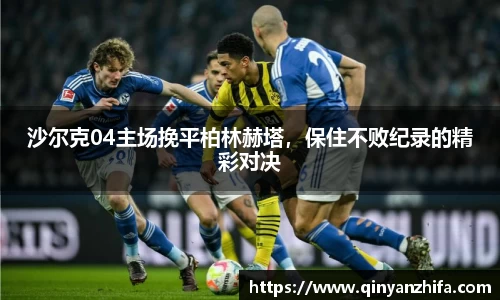 沙尔克04主场挽平柏林赫塔，保住不败纪录的精彩对决