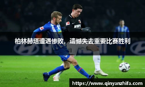 BB贝博