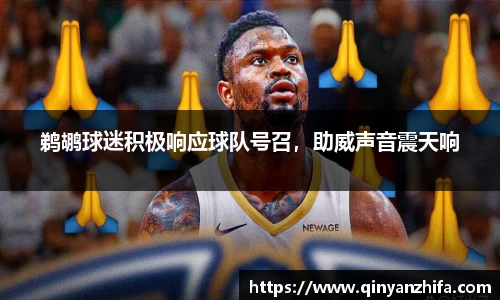 鹈鹕球迷积极响应球队号召，助威声音震天响
