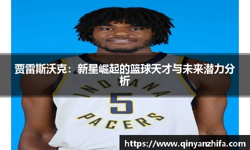 BB贝博登录入口