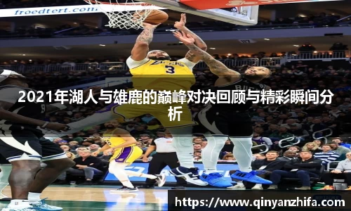 BB贝博登录入口