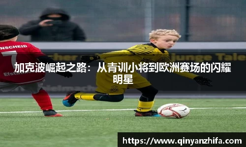 BB贝博登录入口