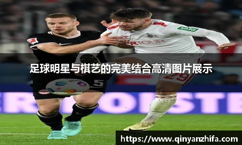 BB贝博登录入口