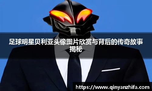 BB贝博登录入口